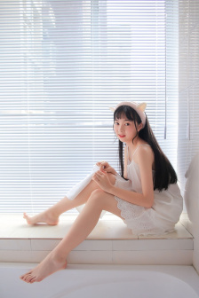 首辅攻略指南无删减